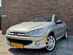 Peugeot 206 CC - 1.6-16V 2004 Roland Garros Leder Bagagerek