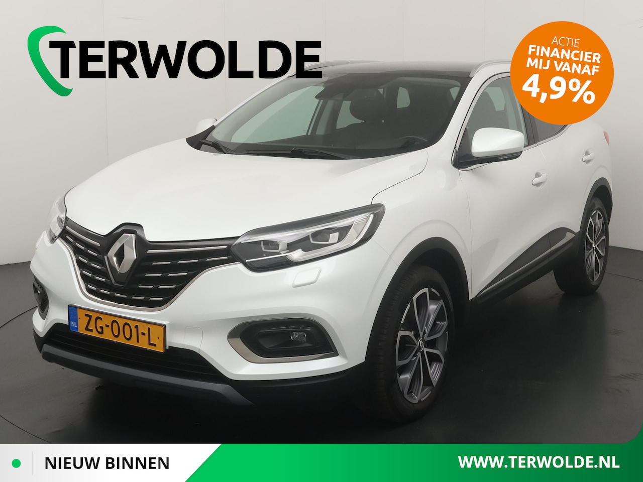 Renault Kadjar - TCe 160 GPF Intens | Panoramadak | Trekhaak | Stoelverw. | - AutoWereld.nl