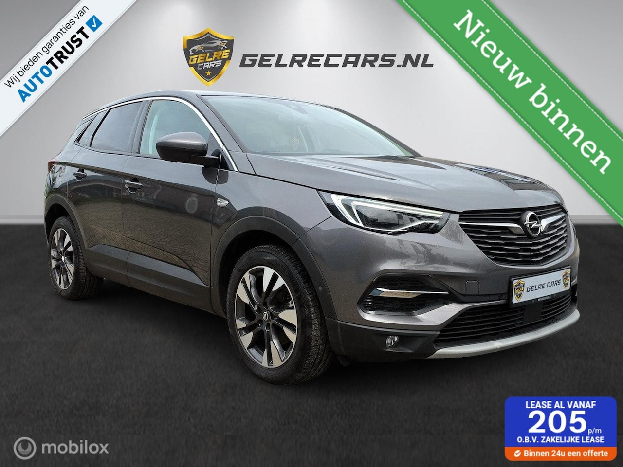 Opel Grandland X - 1.2 Turbo Innovation TOPSTAAT!! - AutoWereld.nl