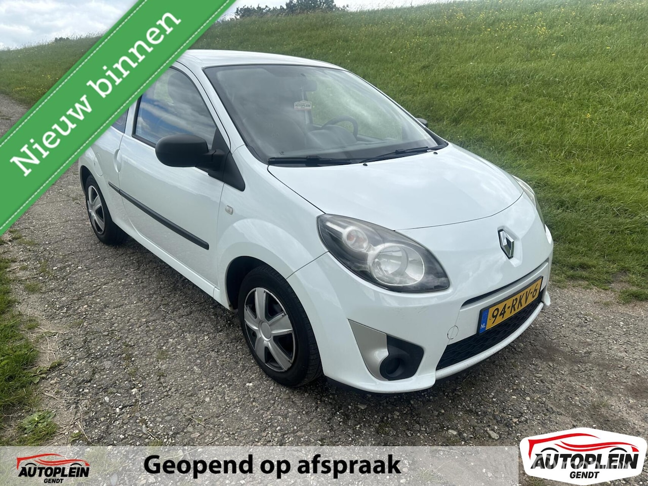 Renault Twingo - 1.2-16V Distributieriem vervangen!! - AutoWereld.nl