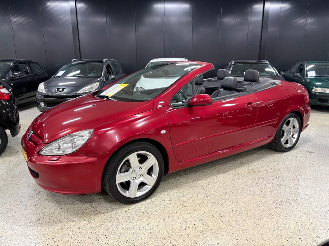 Peugeot 307 - CC 2.0 16V 180pk Leder / Cruise / Afn.Haak / Climat / Pdc / NAP - AutoWereld.nl