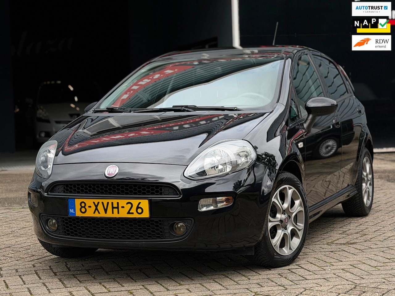 Fiat Punto Evo - 0.9 TwinAir Lounge CRUISE/ISOFIX/PDC/AIRCO | KEURIGE AUTO ! - AutoWereld.nl