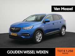 Opel Grandland X - 1.2 Turbo Business Edition