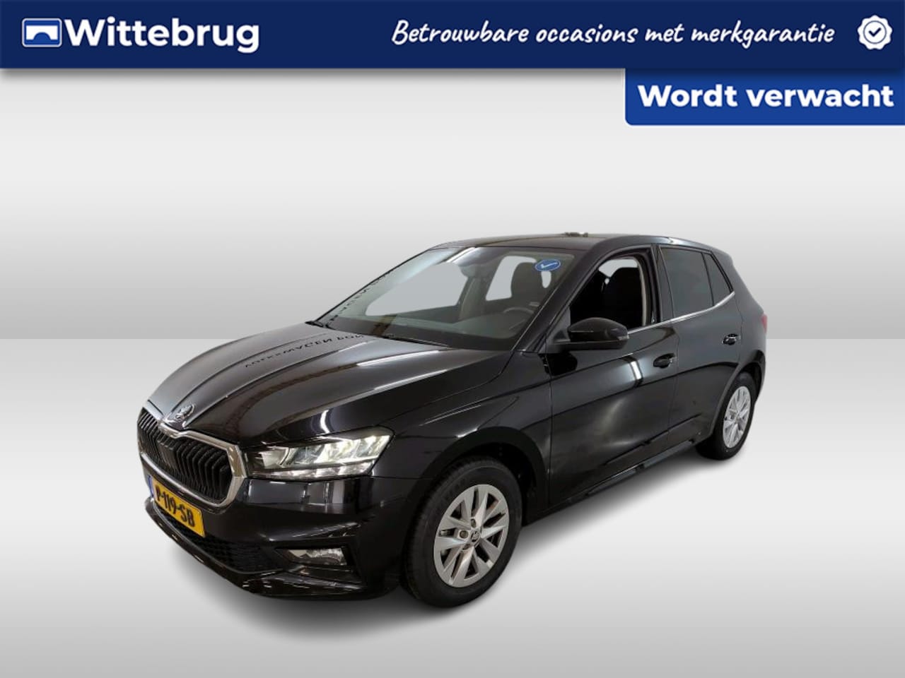 Skoda Fabia - 1.0 TSI 95pk Business Edition / Navigatie by APP / LM velgen / Parkeersensoren A. / Digita - AutoWereld.nl