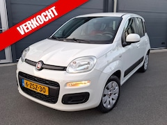 Fiat Panda - 1.2 Edizione Cool