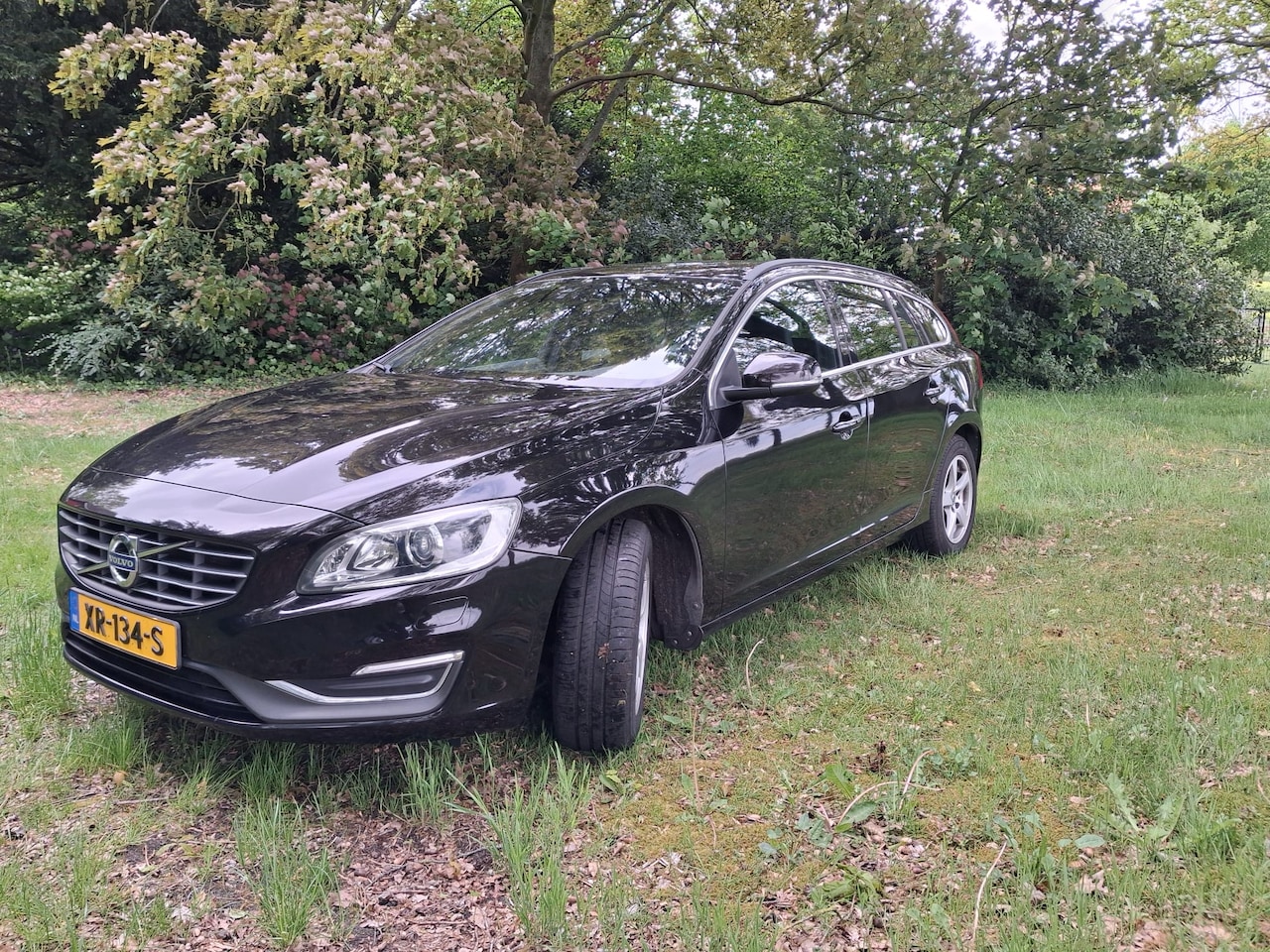 Volvo V60 - 1.6 T4 Momentum 180PK - AutoWereld.nl