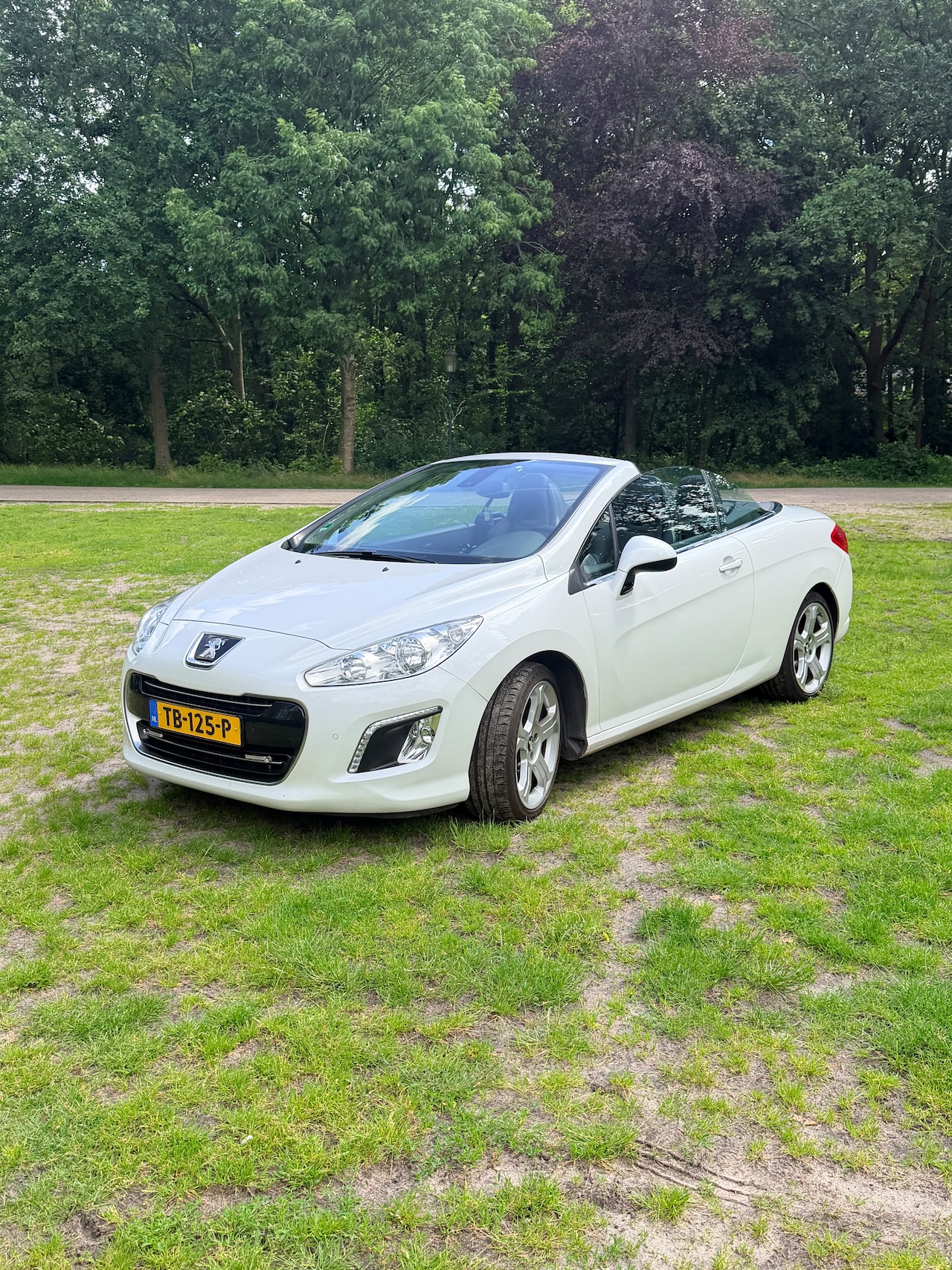 Peugeot 308 CC - 1.6 THP Roland Garros - AutoWereld.nl