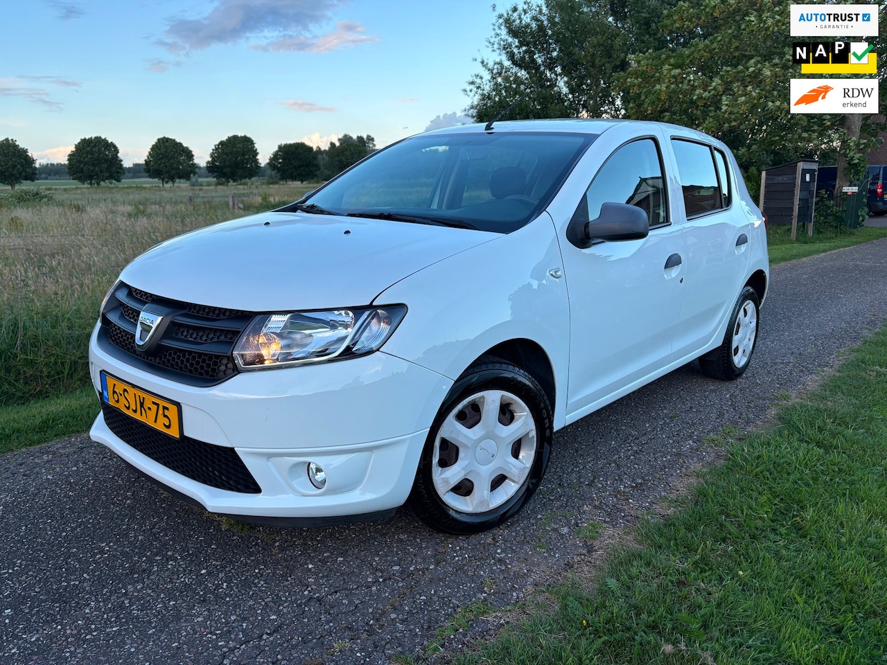 Dacia Sandero - 0.9 TCe Ambiance 2013|Airco|NW APK - AutoWereld.nl