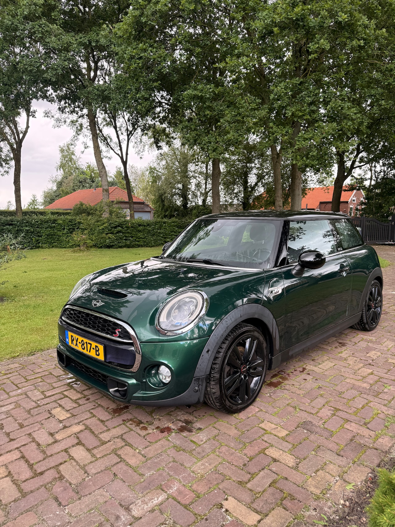 MINI 3-Deurs - 2.0 Cooper S Chili Serious Business Cooper S 2.0 Chili Serious Business - Camera - PDC - H/K speakers - AutoWereld.nl