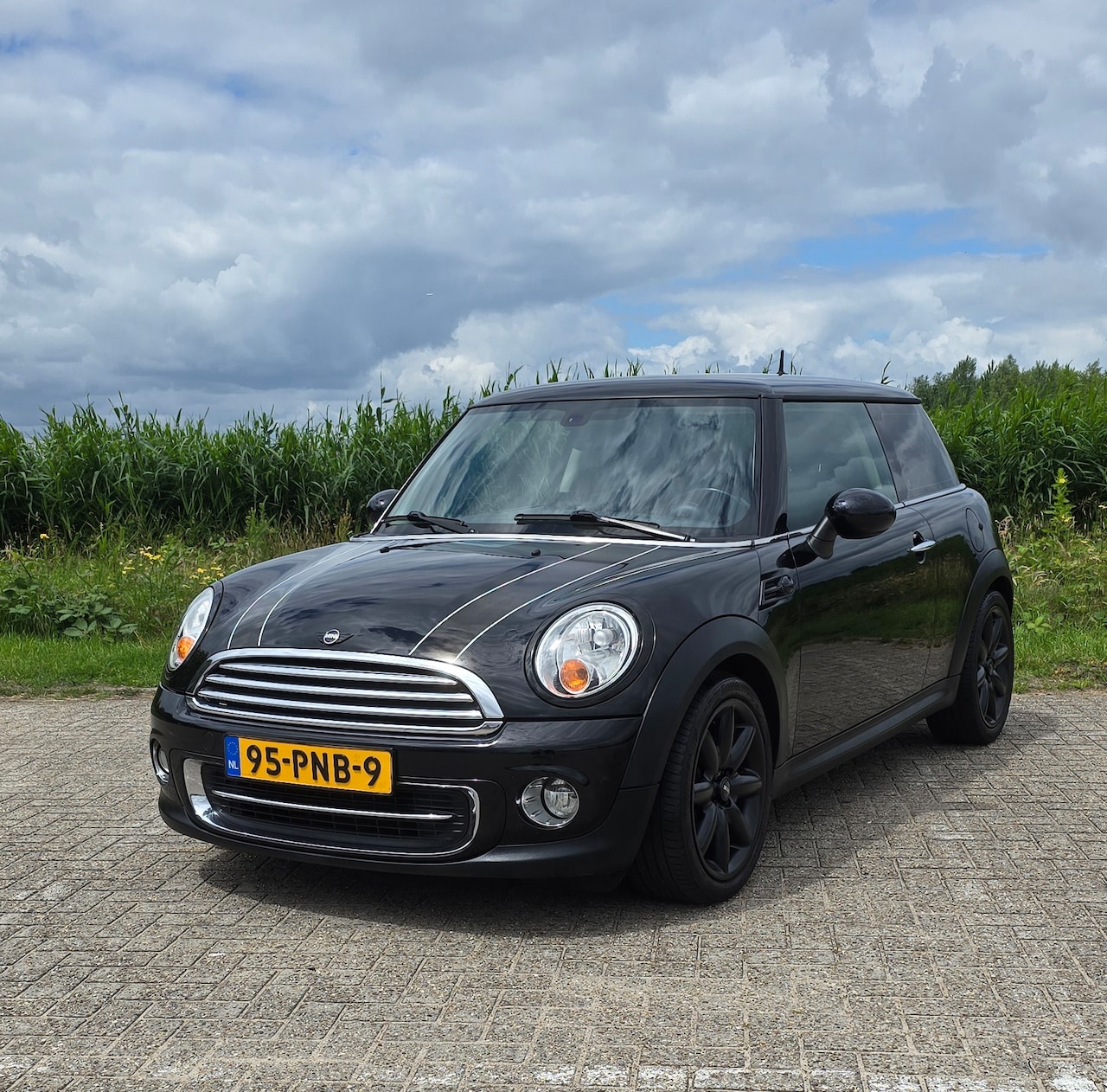 MINI 3-Deurs - 1.6 Cooper Business Line Cooper 1.6 - AutoWereld.nl