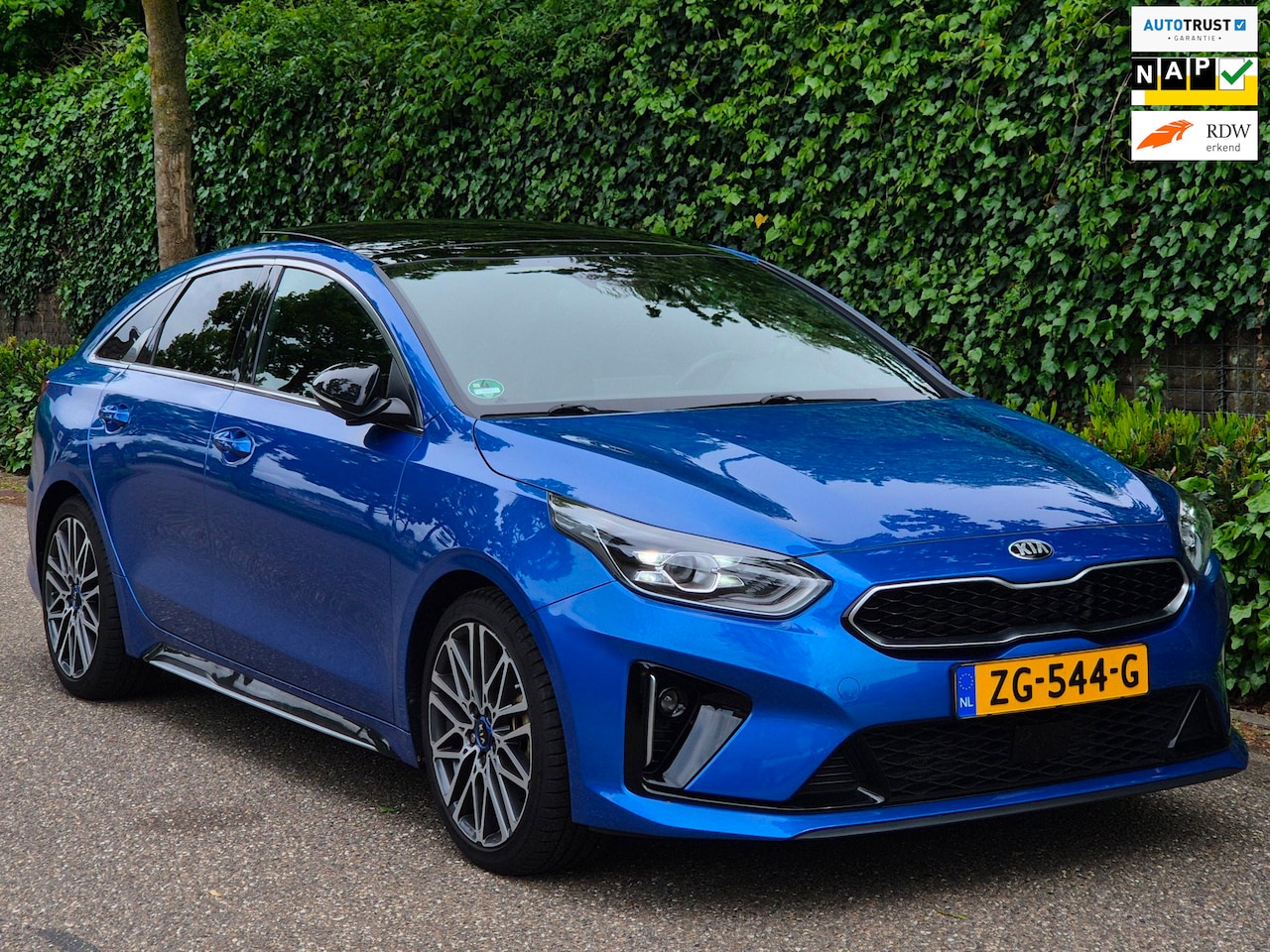 Kia Pro cee'd - T-GDI GT-PlusLine VOL OPTIE Panorama Keyless LED ACC Line Assist Camera 1.4 T - AutoWereld.nl
