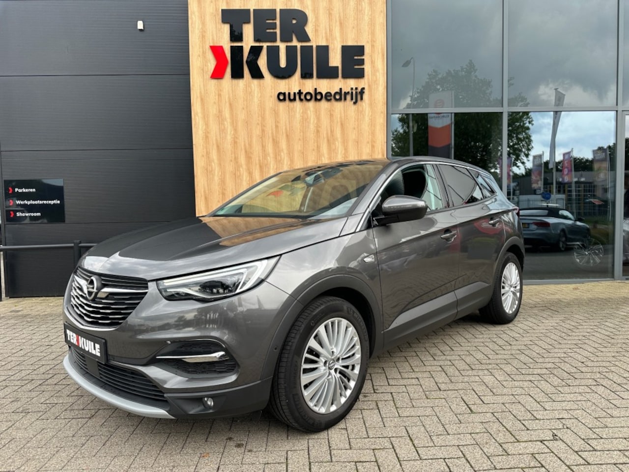 Opel Grandland X - 1.2 Turbo Business Executive / Dealer ond. - AutoWereld.nl