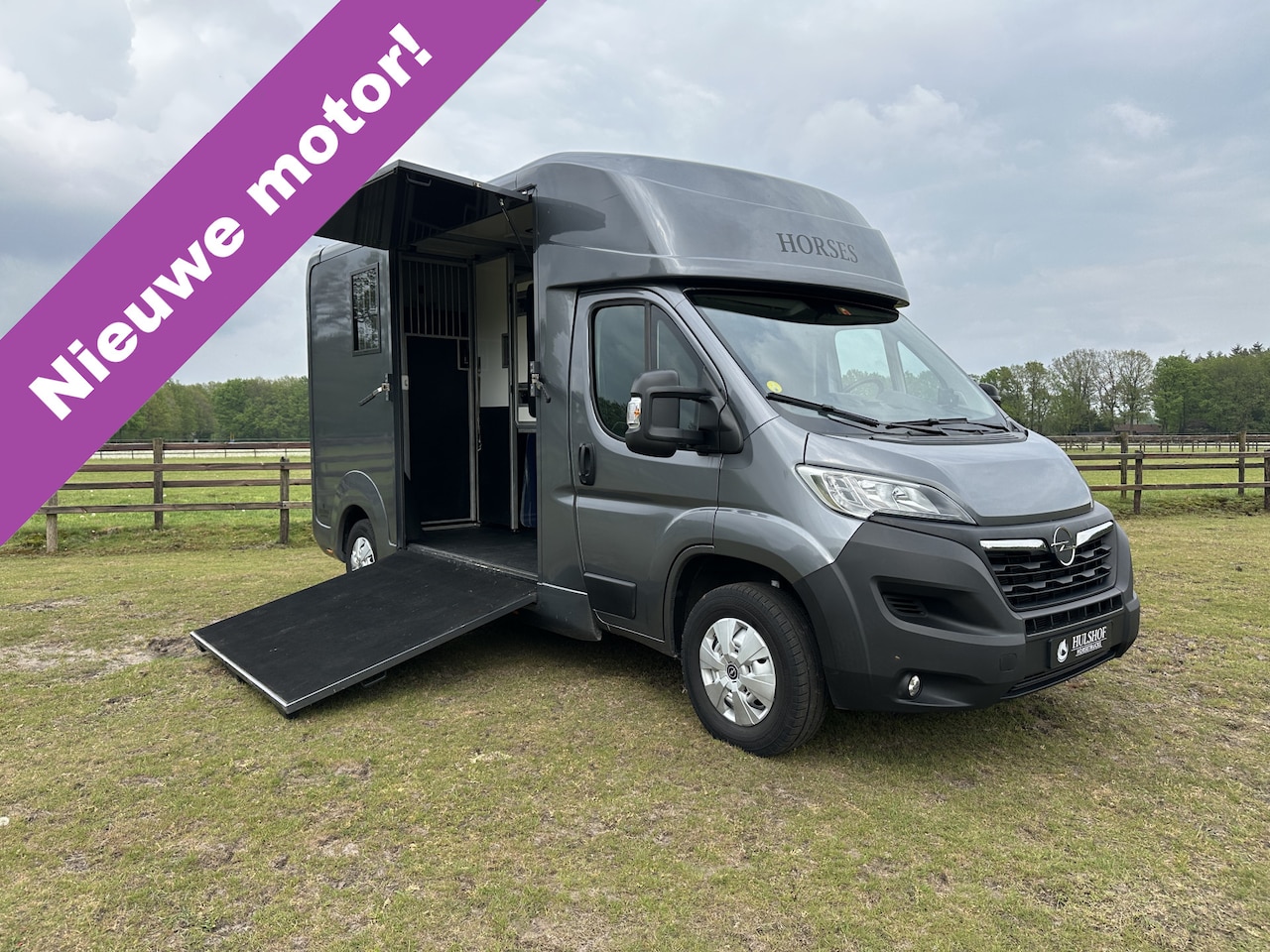 Opel Movano - AKX 2-paards paardenvrachtwagen B-rijbewijs 3000KG trekhaak! - AutoWereld.nl