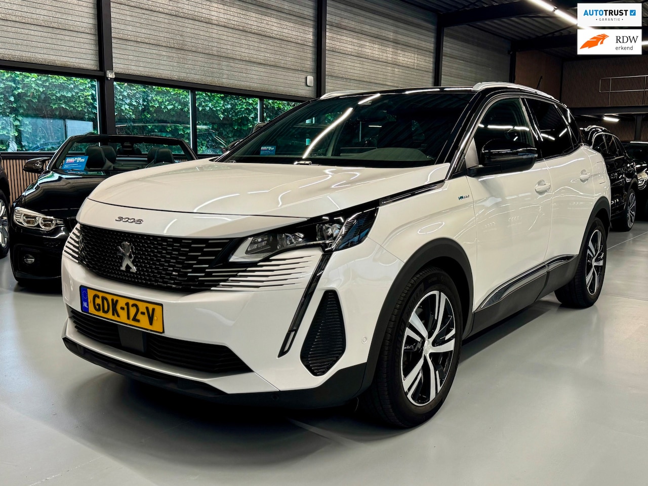 Peugeot 3008 - 1.6 HYbrid 225 GT Pano/Camera/Parelmoer - AutoWereld.nl
