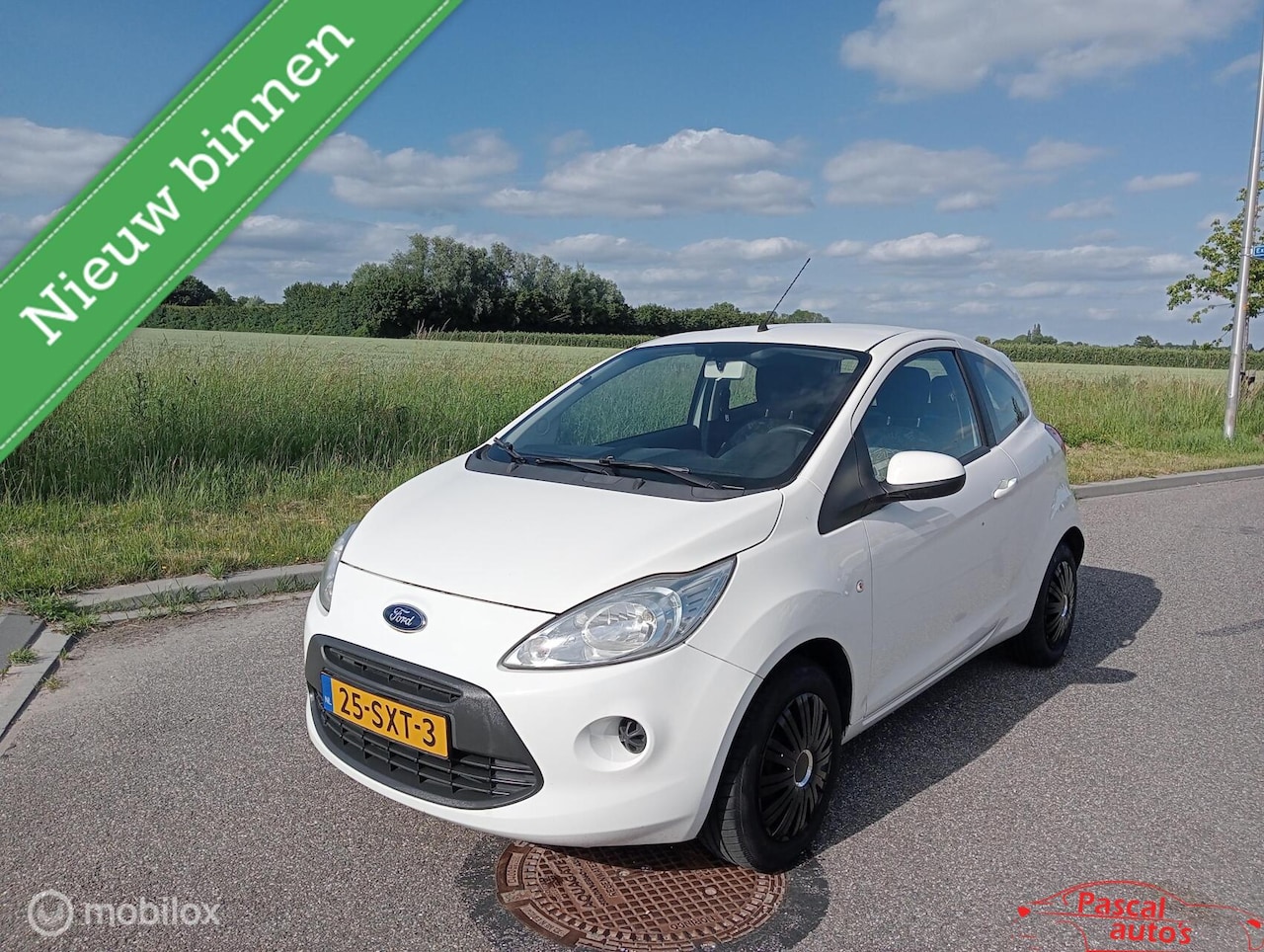 Ford Ka - 1.2 Cool NAP Distri VV Airco - AutoWereld.nl