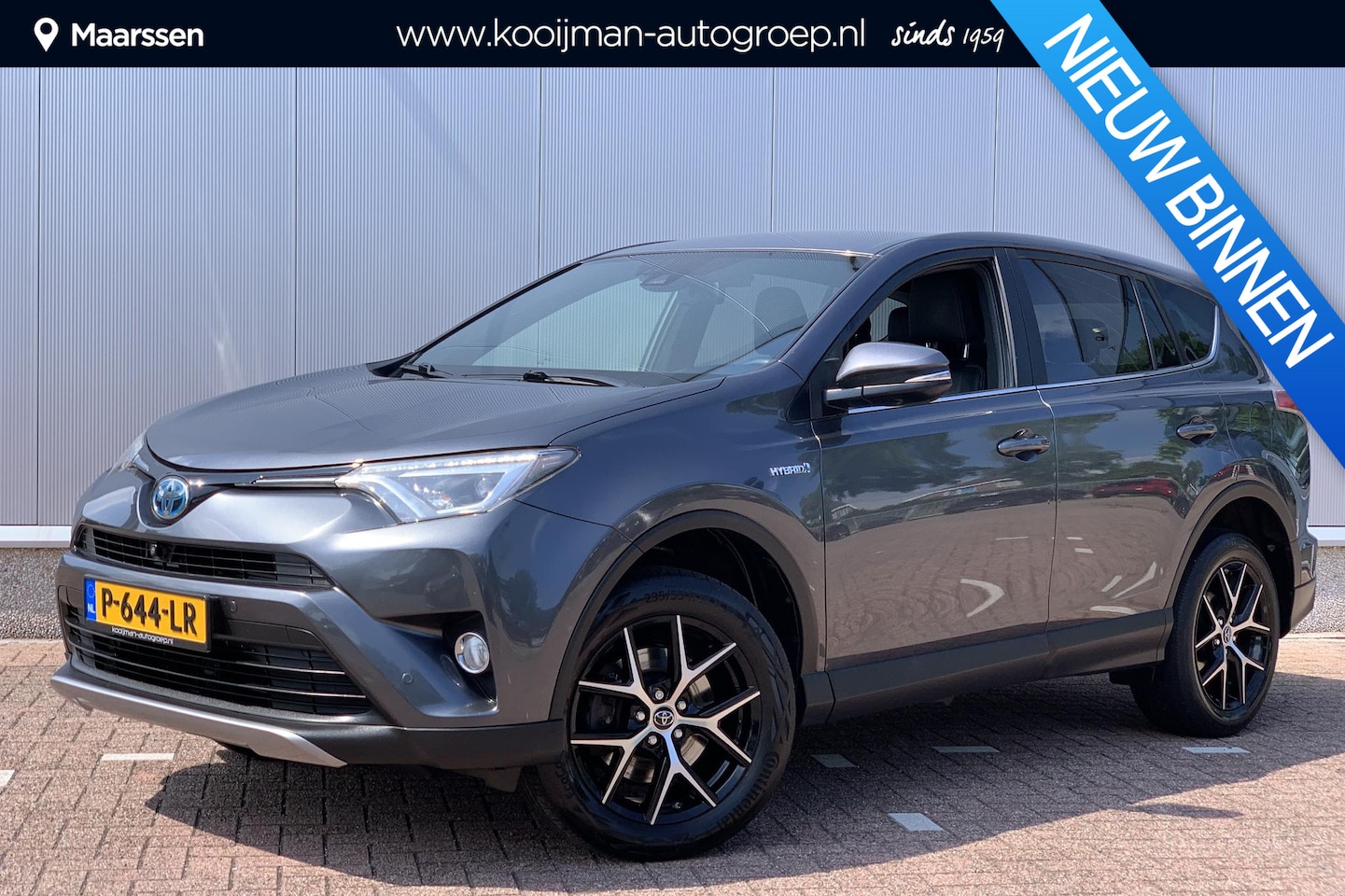 Toyota RAV4 - 2.5 Hybrid AWD Executive Stoelverwarming | Elektrische Stoelen | Leer - AutoWereld.nl