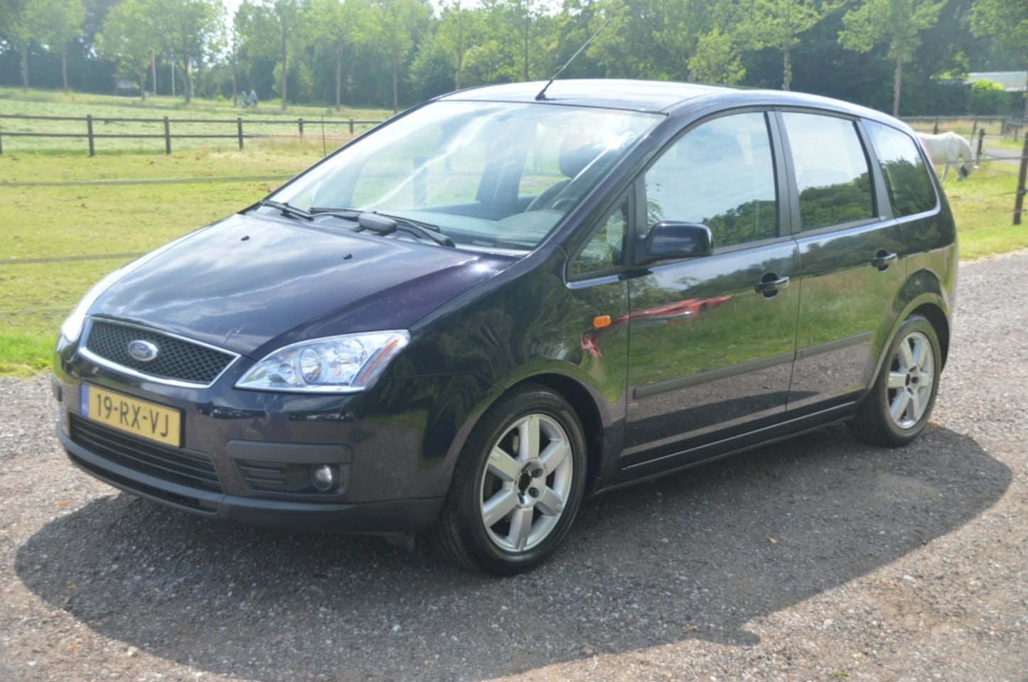 Ford Focus C-Max - 1.6-16V Futura Airco Cruise - AutoWereld.nl