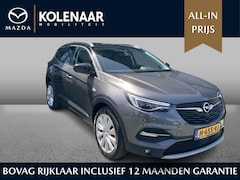 Opel Grandland X - 1.2 Turbo Navi/Trekhaak/Camera achter/Nieuwstaat