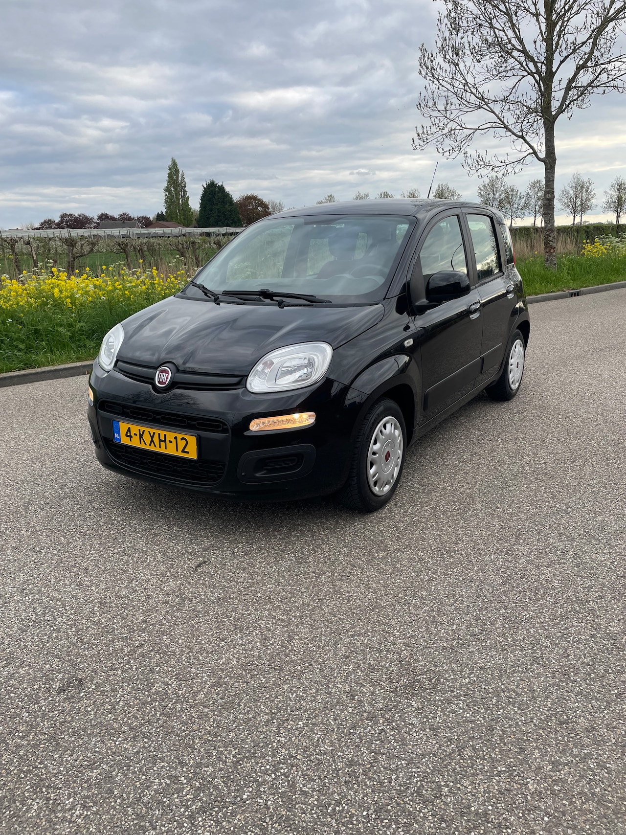 Fiat Panda - 0.9 TwinAir Edizione Cool - AutoWereld.nl