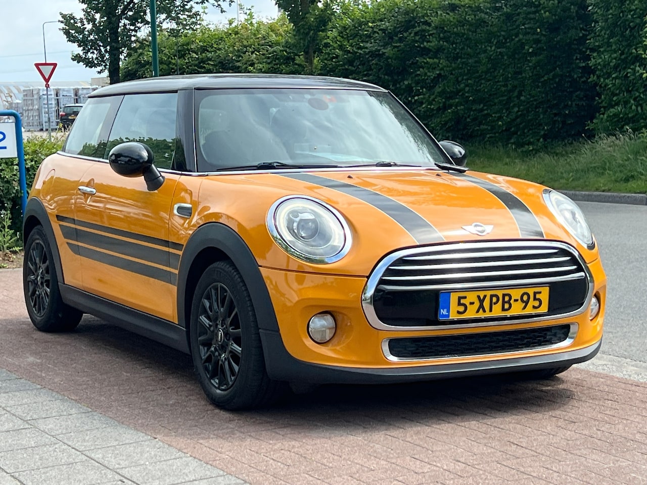 MINI 3-Deurs - 1.5 Cooper First Born Edition | Panoramadak - AutoWereld.nl