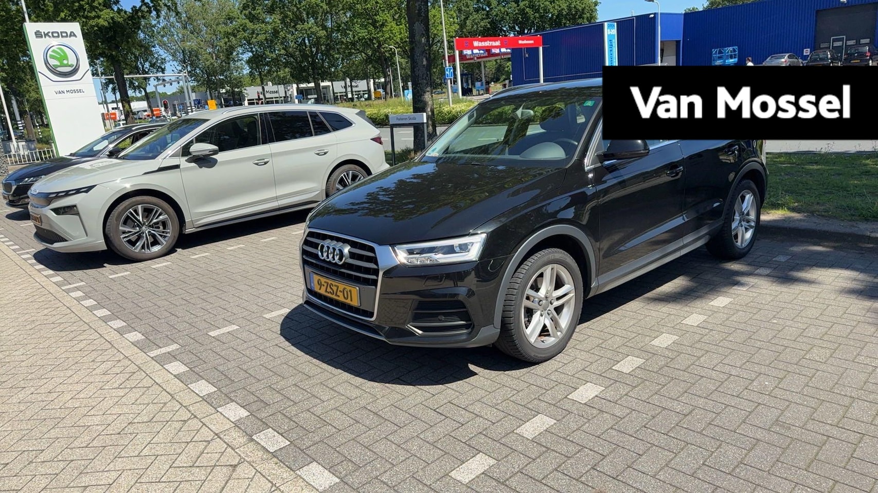 Audi Q3 - 1.4 TFSI CoD Design Pro Line Plus | WORDT VERWACHT | - AutoWereld.nl