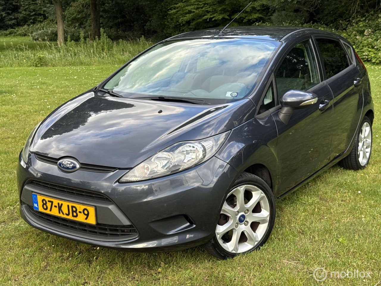 Ford Fiesta - 1.25 Rijklaar - AutoWereld.nl