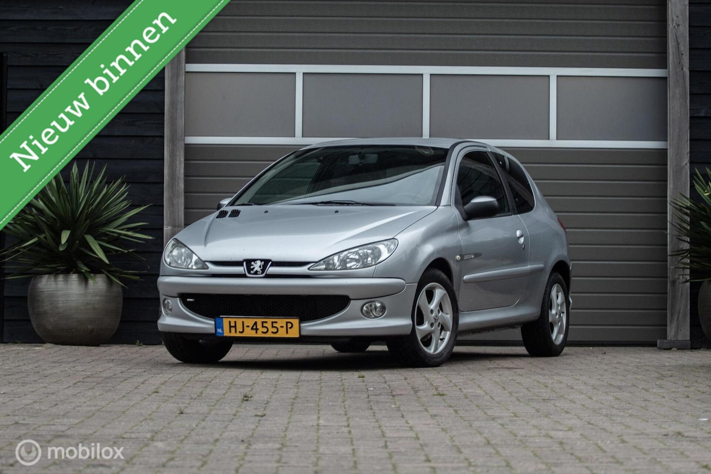 Peugeot 206 - 1.4-16V XS 1.4-16V XS - AutoWereld.nl