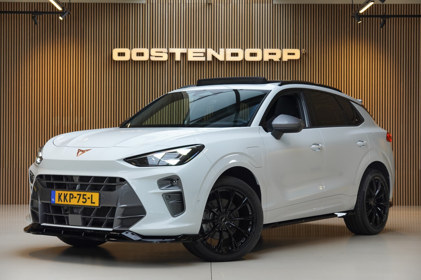 CUPRA Terramar - 1.5TSI/204pk e-Hybrid Adrenaline|2025|Panoramadak|Trekhaak|PDC+360camera+Assist|Cruise+ACC - AutoWereld.nl