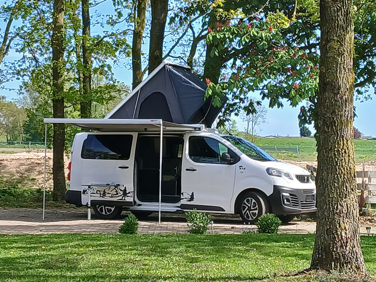 Peugeot e-Expert - camper - AutoWereld.nl