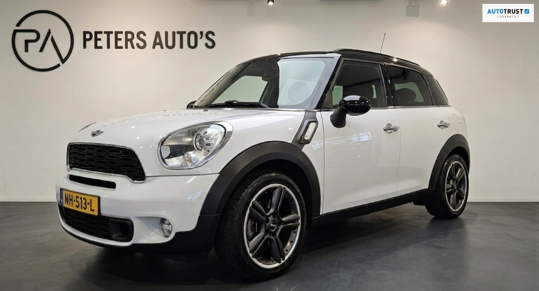 MINI Countryman - 1.6 Cooper S Chili Xenon/Pano/Leder/Pdc/Stoelverwarming - AutoWereld.nl