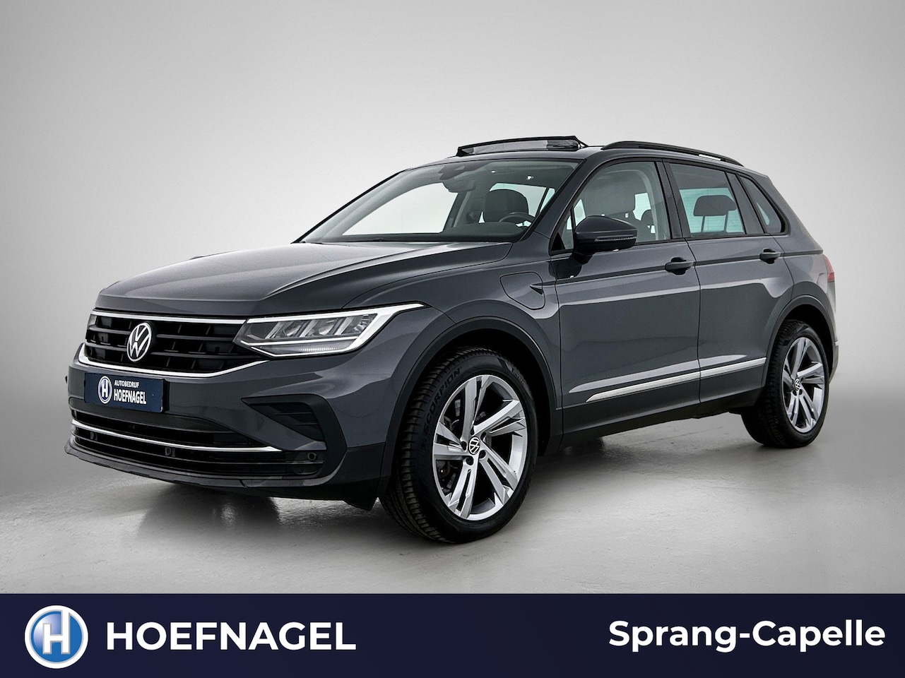 Volkswagen Tiguan - 1.4 TSI eHybrid Business+ | Trekhaak | Panodak | Camera | Virtual Cockpit | Memory Stoelen - AutoWereld.nl