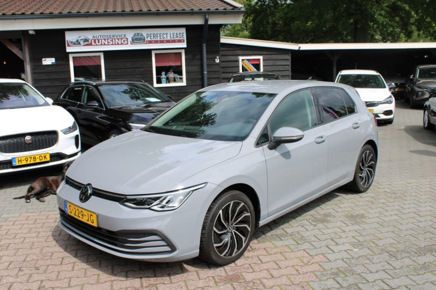 Volkswagen Golf - 1.0 TSI LIFE - Virtual cockpit IQdrive adapt cruise - AutoWereld.nl