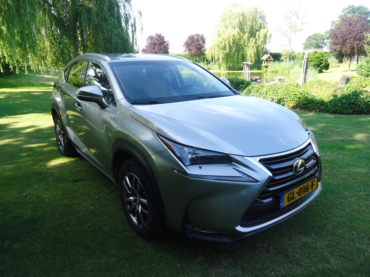Lexus NX - 300h AWD Luxury Line geweldig nette auto met nap