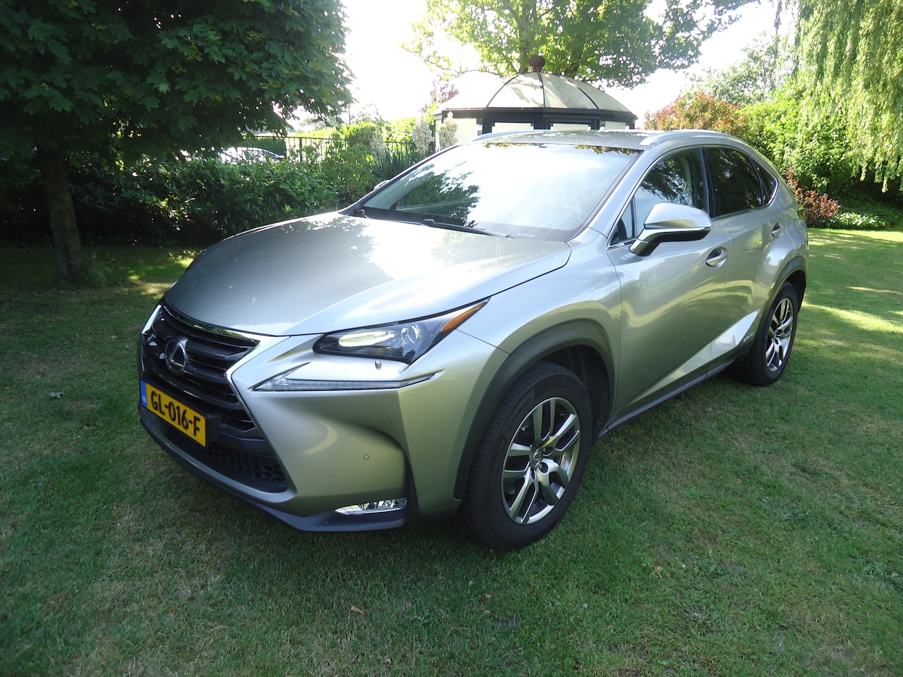 Lexus NX - 300h AWD Luxury Line geweldig nette auto met nap