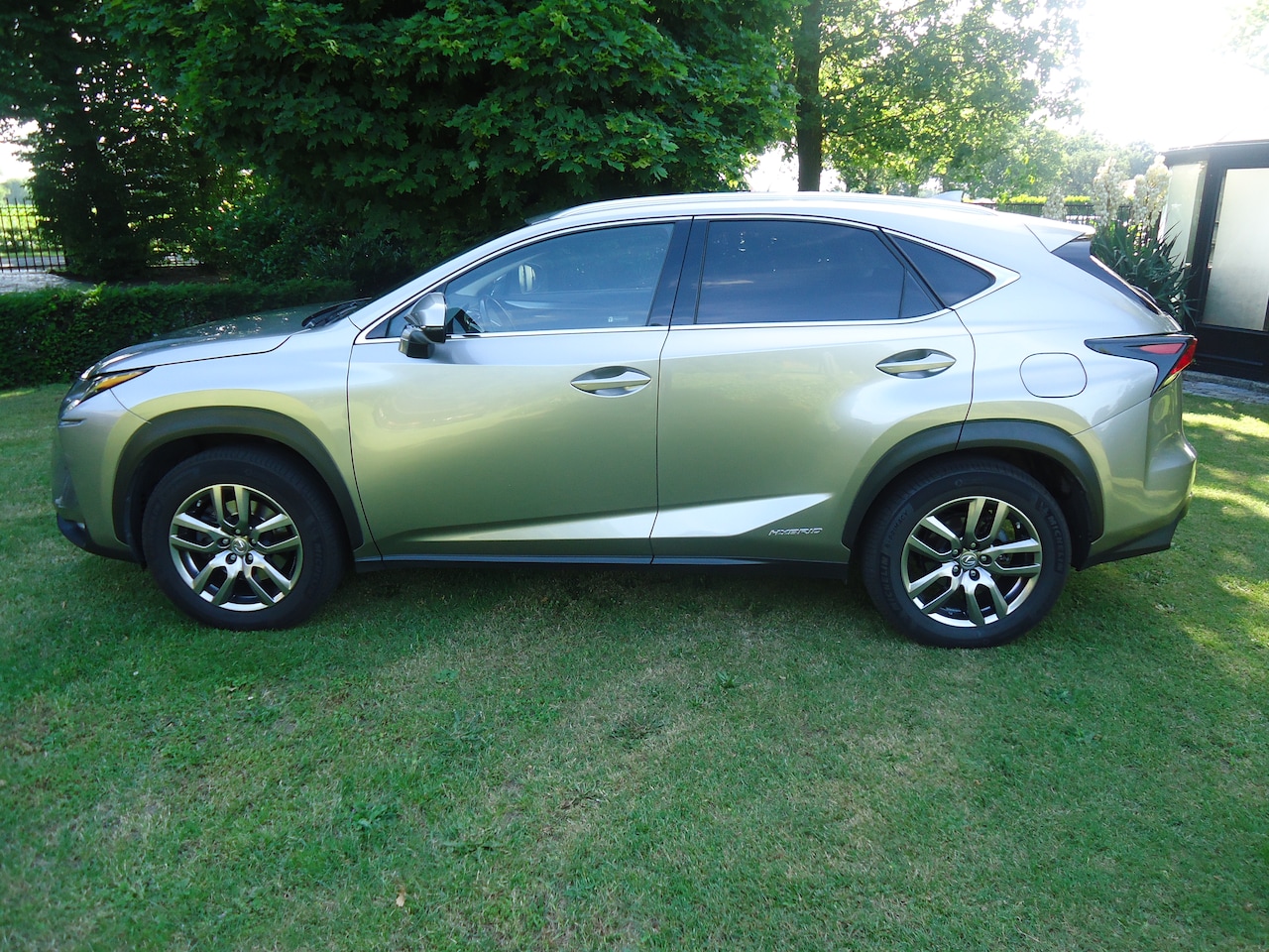 Lexus NX - 300h AWD Luxury Line geweldig nette auto met nap