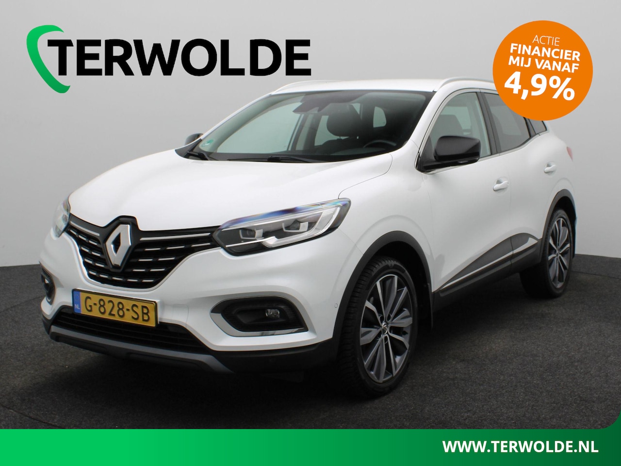 Renault Kadjar - TCe 140 GPF Intens | Trekhaak | Lederen Bekl. | Stoelverw. | - AutoWereld.nl