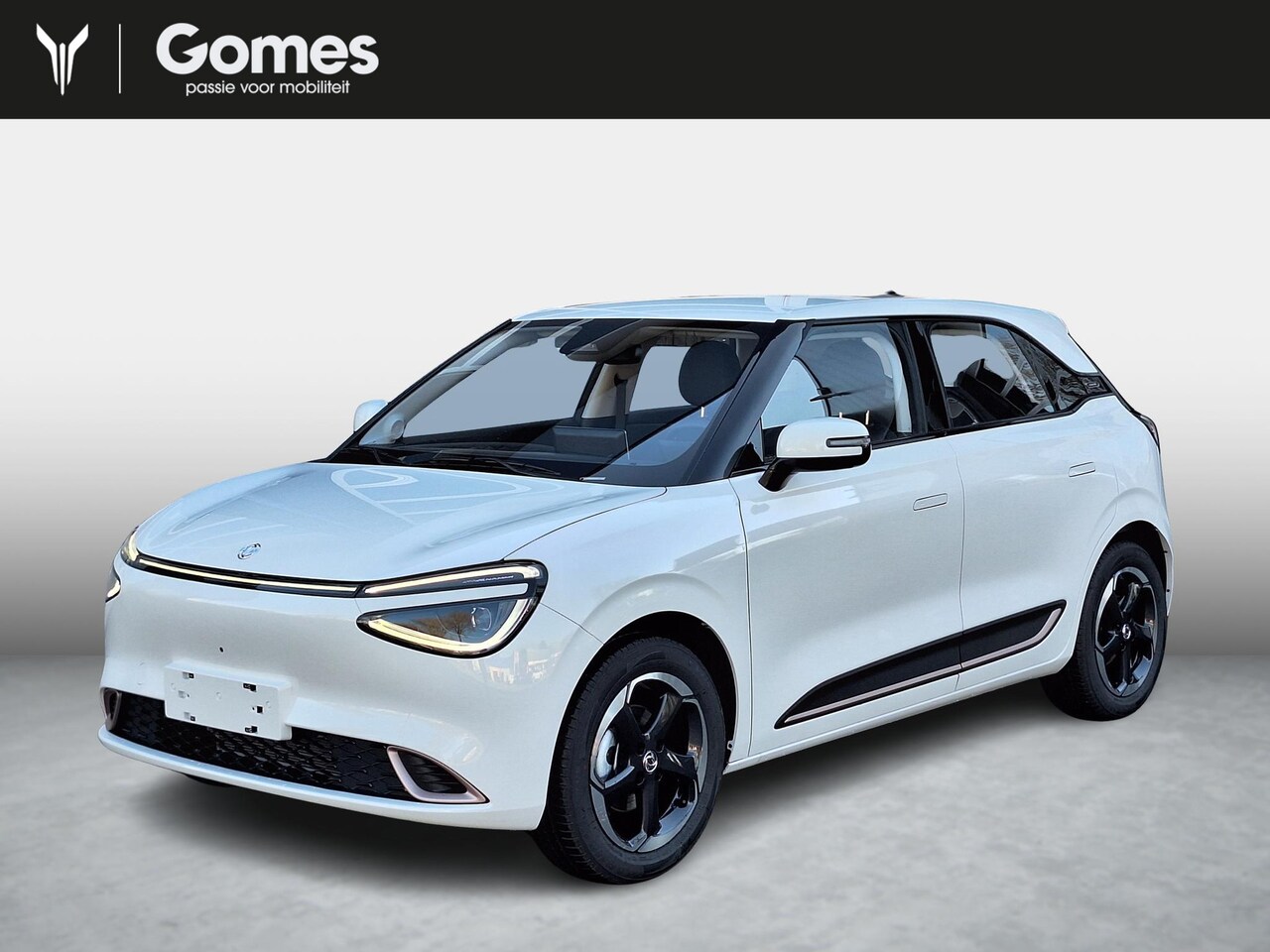 Dongfeng Box - Premium Edition 42 kWh | 360° camera | Adaptieve cruise control | Smartphone integratie | - AutoWereld.nl