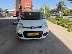 Fiat Panda - 1.2 Popstar