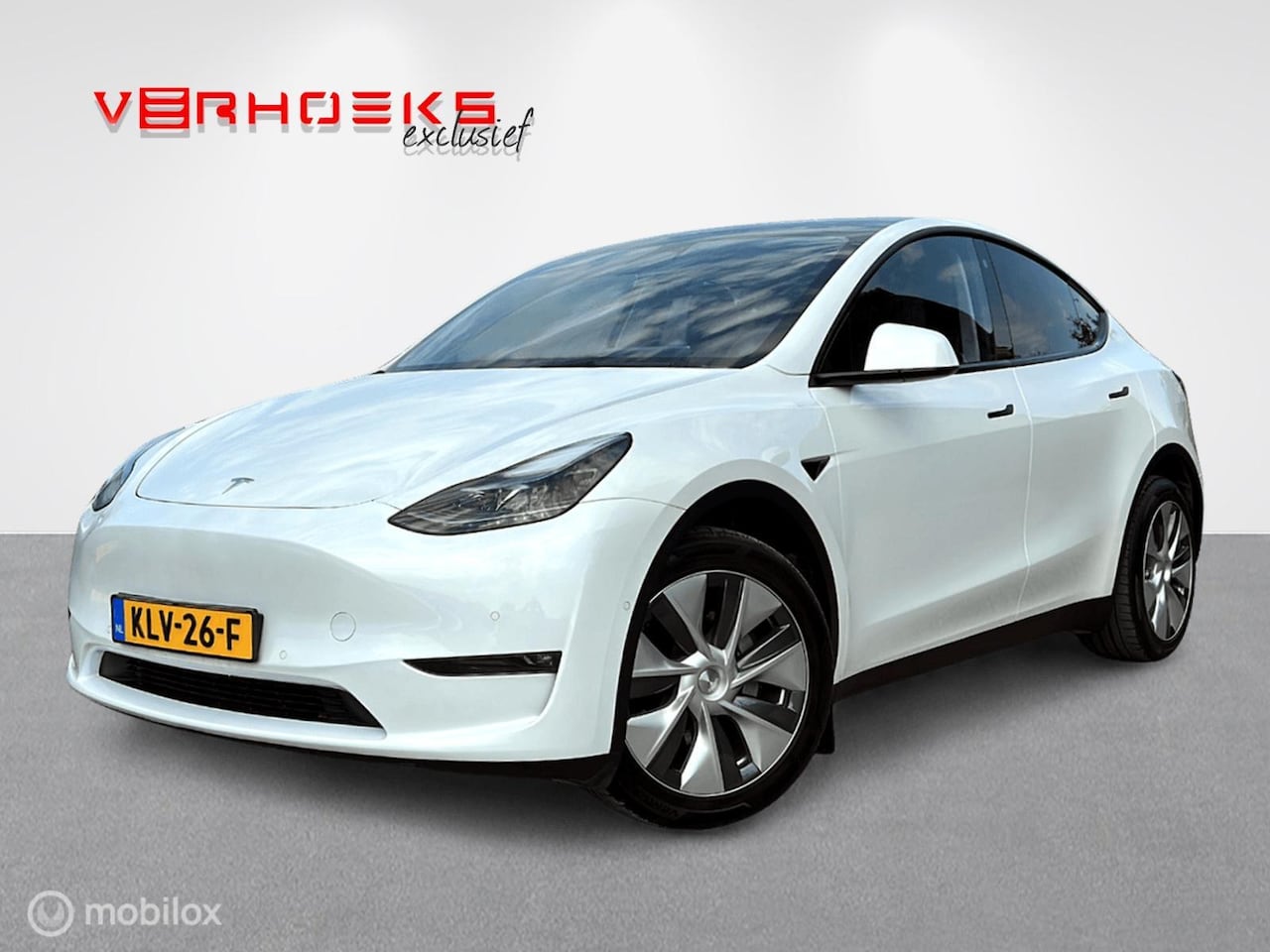 Tesla Model Y - Long Range Dual Motor BTW!! - AutoWereld.nl