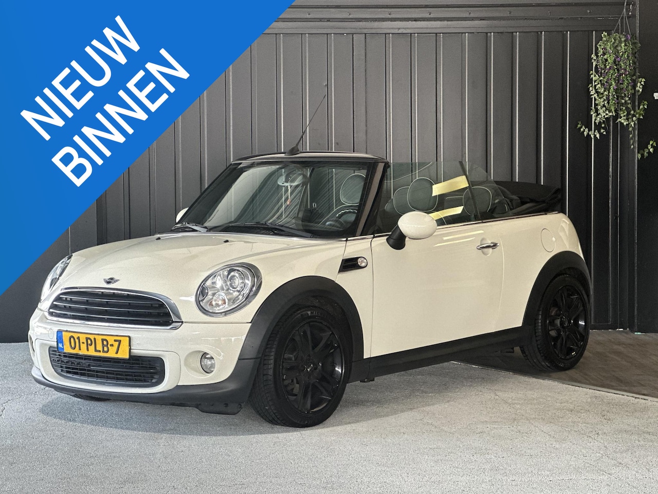 MINI Cabrio - 1.6 One Chili - AutoWereld.nl