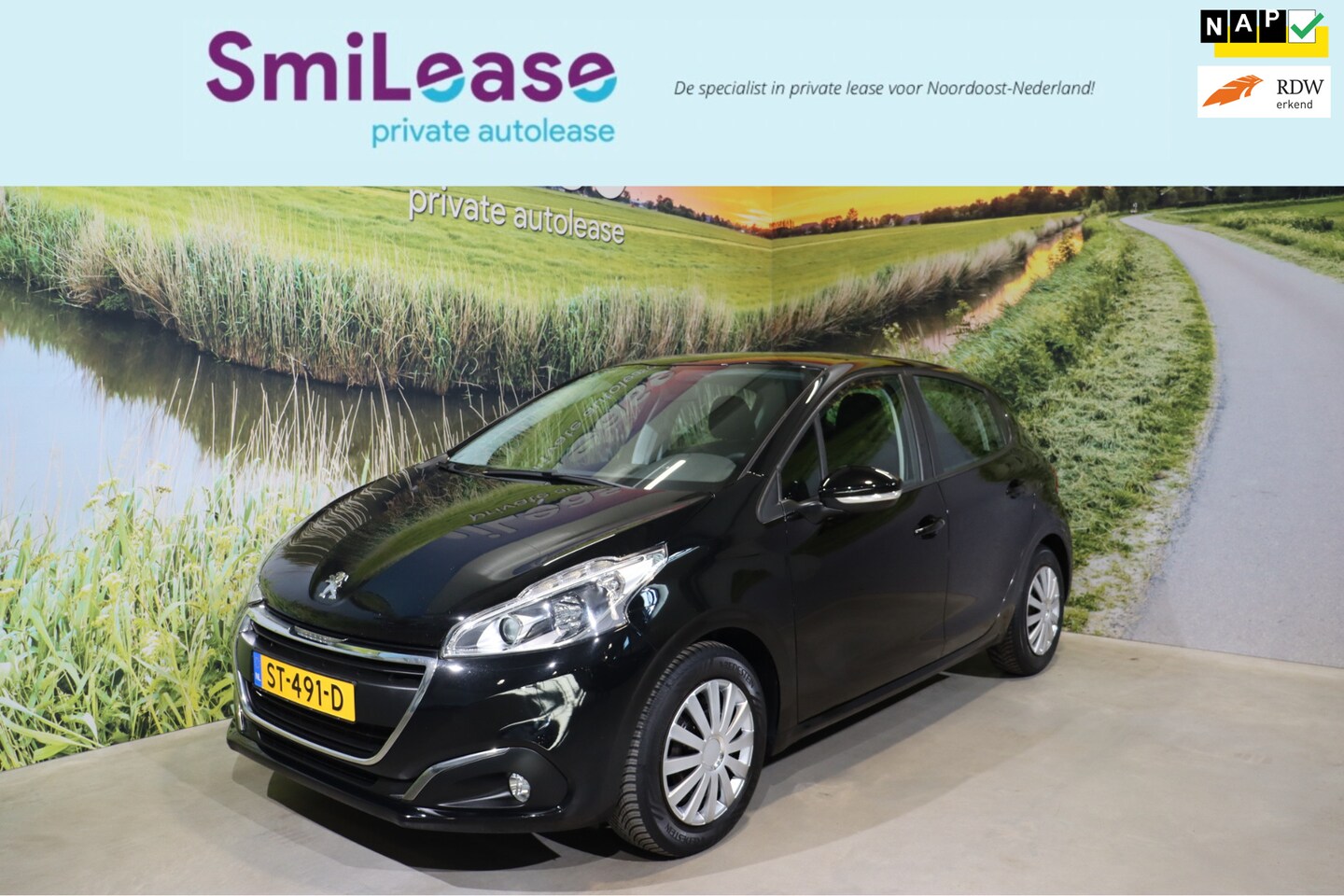 Peugeot 208 - 1.2 PureTech Blue Lion | Ditri.Riem | NAP | Navi - AutoWereld.nl
