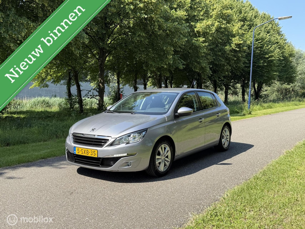 Peugeot 308 - 1.6 Active*1E EIGENAAR*PARKEERSENSOR*APK 1/27 - AutoWereld.nl