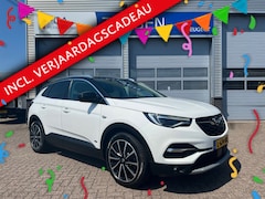 Opel Grandland X - 1.6 Turbo Hybrid4 300PK Business Executive | Stuurverwarming | Navigatie | Achteruitrijcam