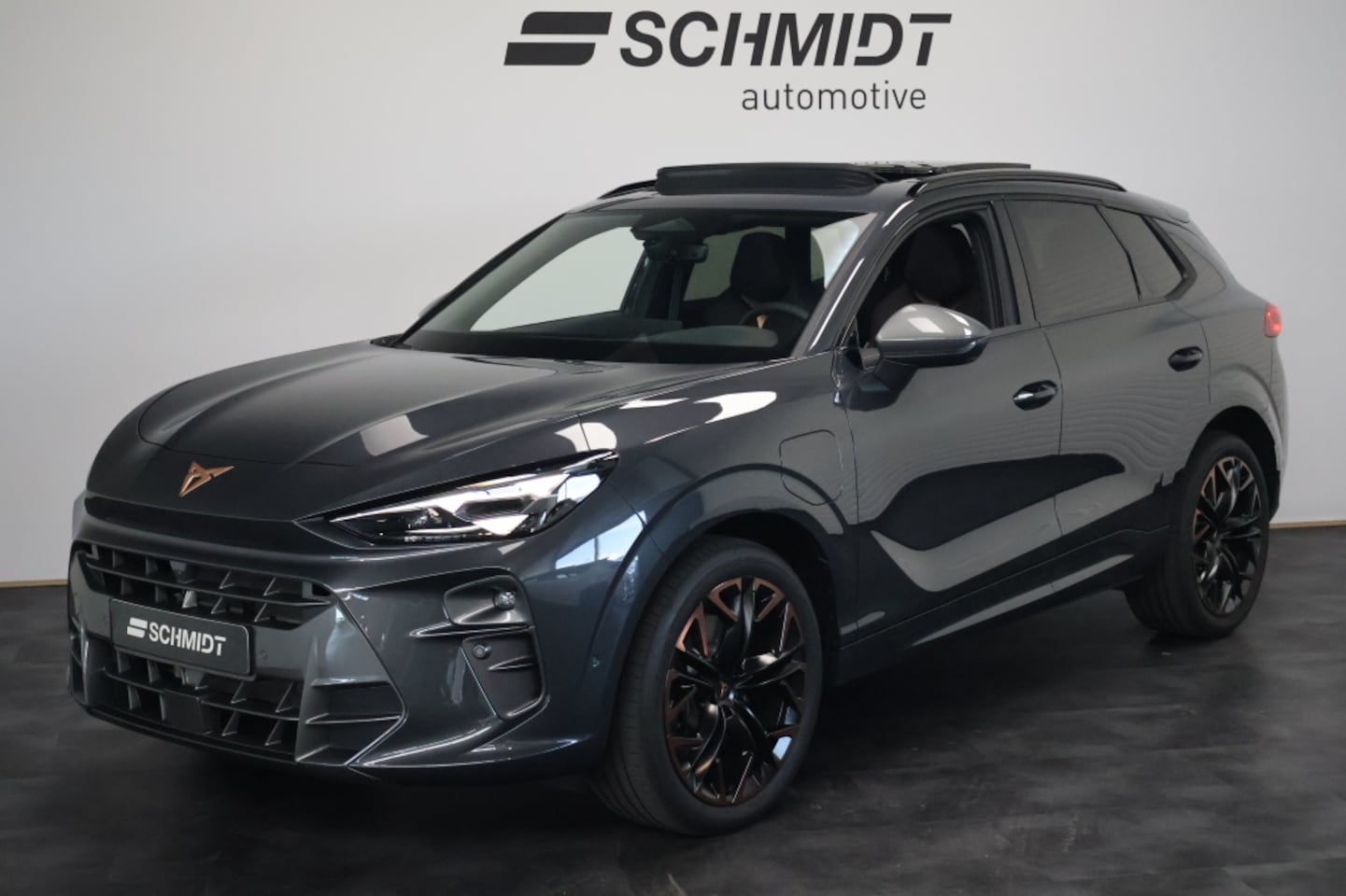 CUPRA Terramar - 1.5 TSI e-Hyb VZ Ambition DSG | Panoramadak | Trekhaak | Memory - AutoWereld.nl
