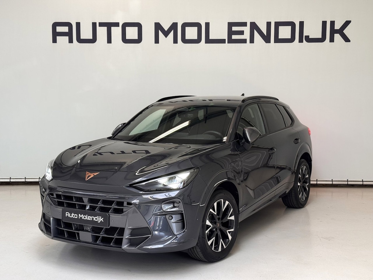 CUPRA Terramar - 1.5 TSI PHEV e-Hybrid / Memory / el. klep/ HuD / virtual / 5jr Garantie - AutoWereld.nl