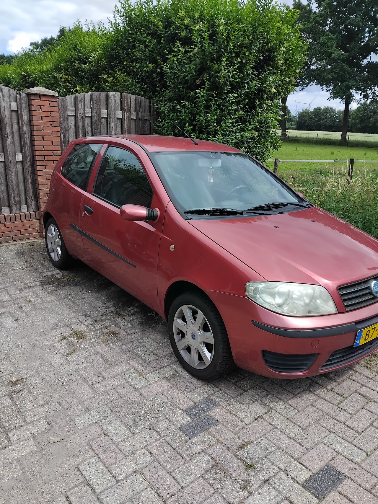Fiat Punto - 1.4-16V Young - AutoWereld.nl