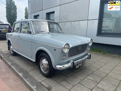 Fiat 1100 - 1100 D BJ 1964 Nette staat
