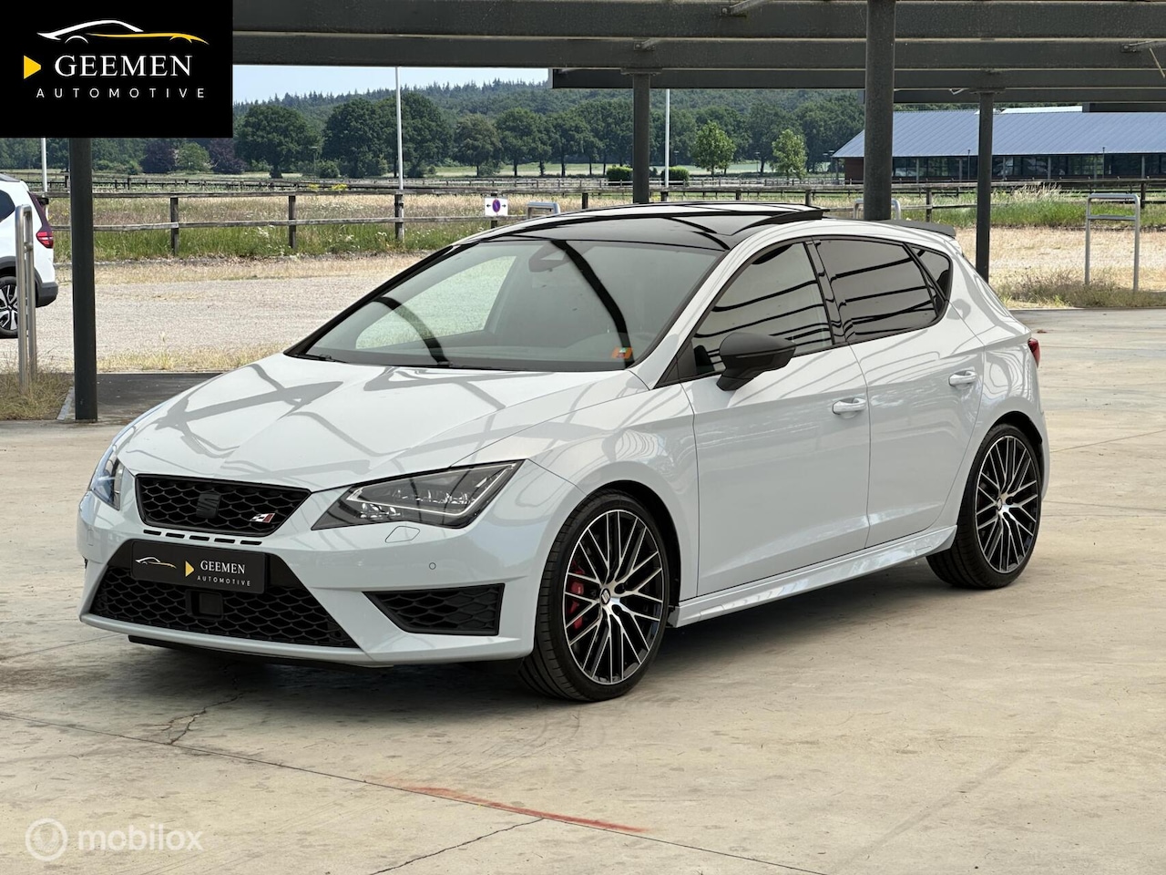 SEAT Leon - 2.0 TSI Cupra 280 PANO/380PK/PERFORMACE/DAB - AutoWereld.nl