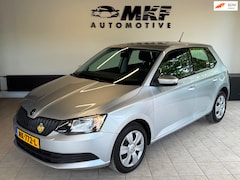 Skoda Fabia - 1.2 TSI Edition AUTOMAAT/AIRCO/CARPLAY/103DKM