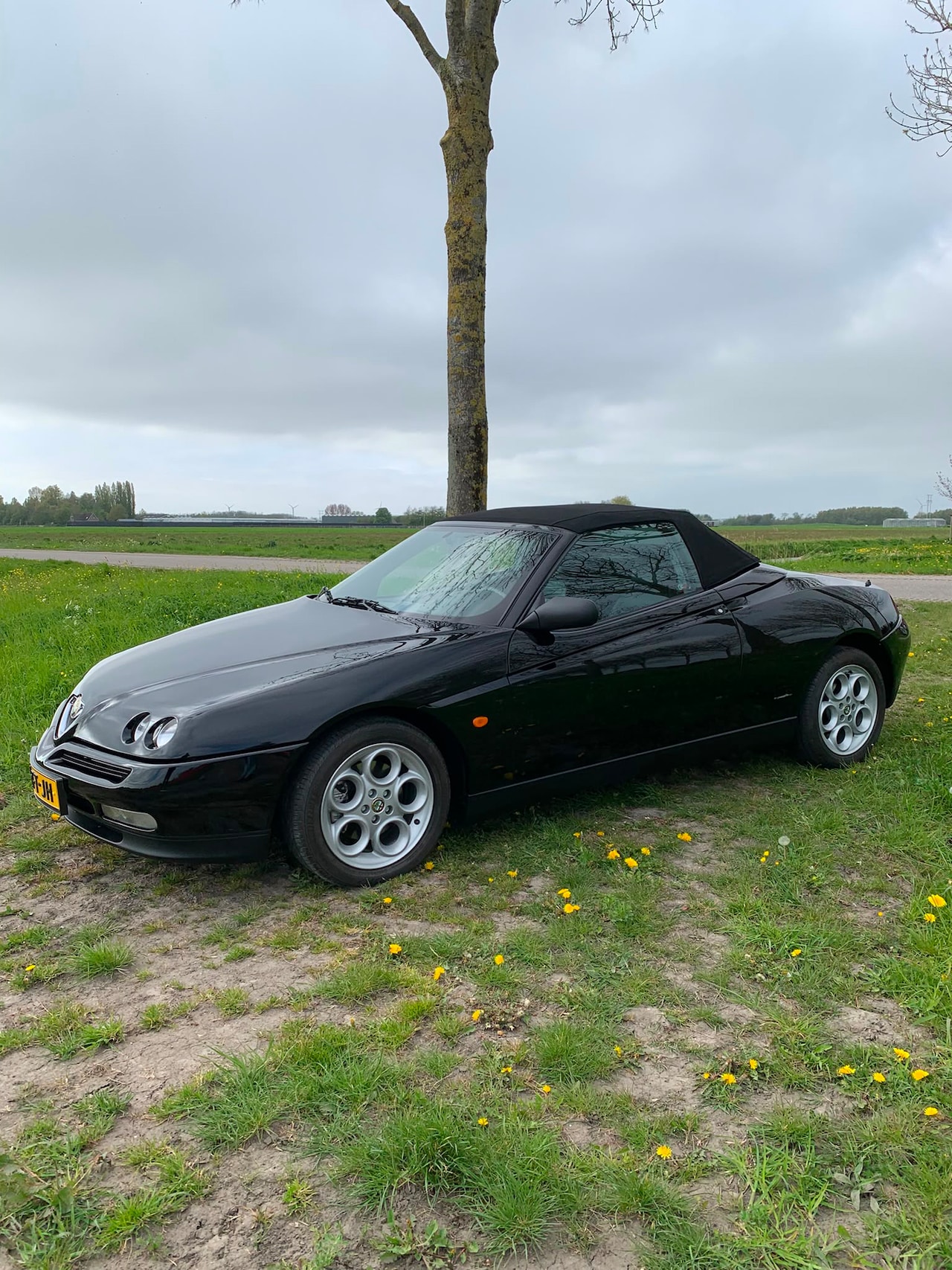 Alfa Romeo Spider - 2.0-16V T.Spark Cabriolet - AutoWereld.nl